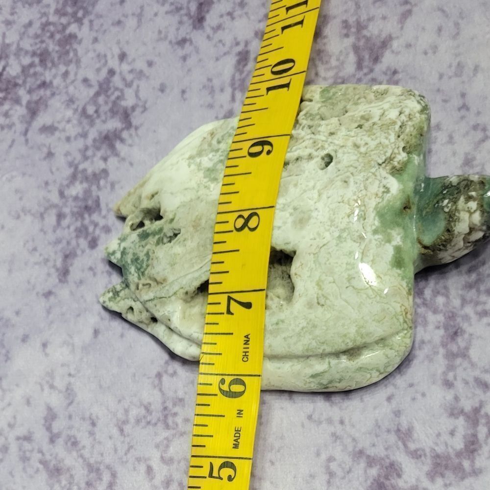 Moss Agate Sea Turtle‎ - Picture 2 of 5